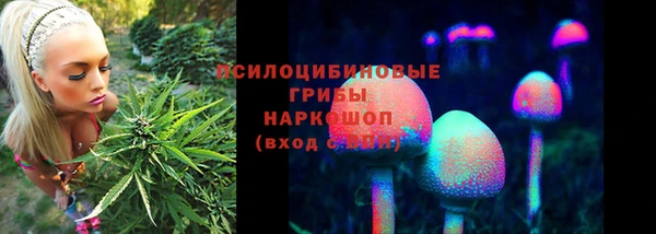 PSILOCYBIN Алексеевка